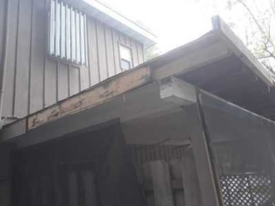 Chameleon Happy Painter